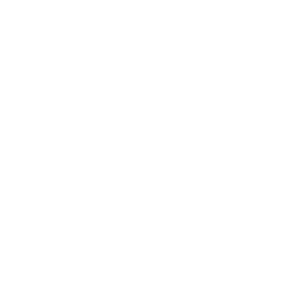 iba-logo-white